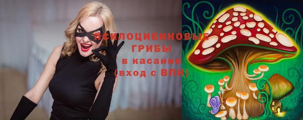 МДПВ Абаза