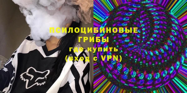 МДПВ Абаза