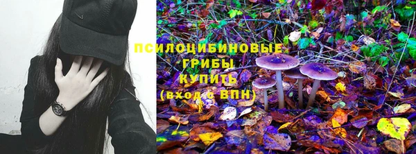 МДПВ Абаза