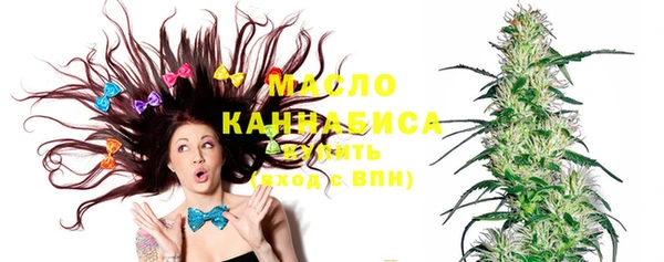 МДПВ Абаза