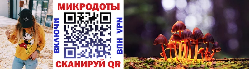 купить наркоту  Лакинск  Псилоцибиновые грибы Cubensis 
